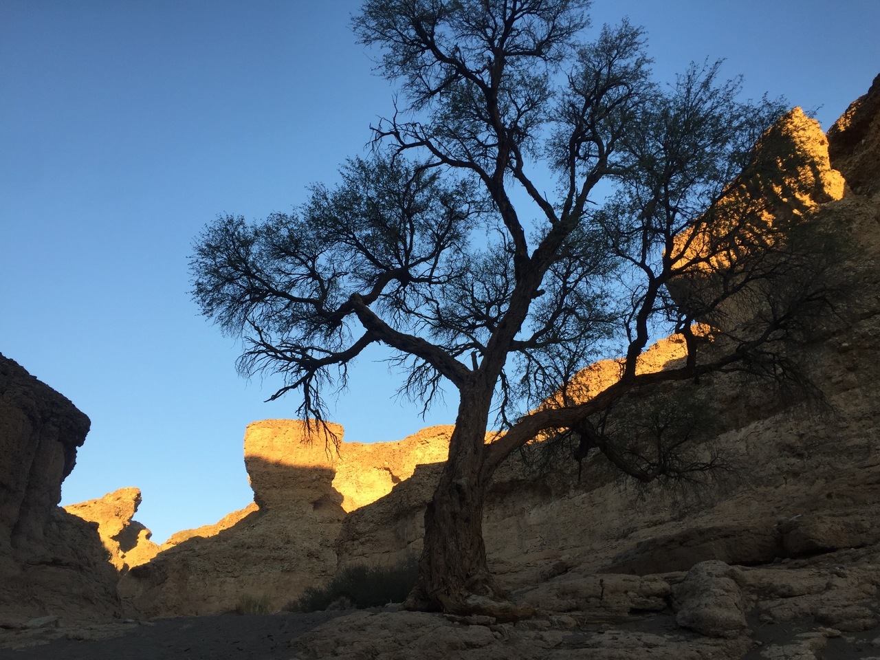 [14212] 2016_06_24_16_47_01_Africa_iPhone_6_IMG_8114_03028.jpg