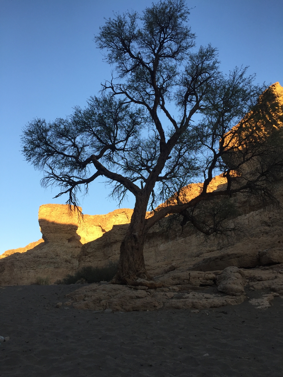 [14218] 2016_06_24_16_47_11_Africa_iPhone_6_IMG_8116_03030.jpg