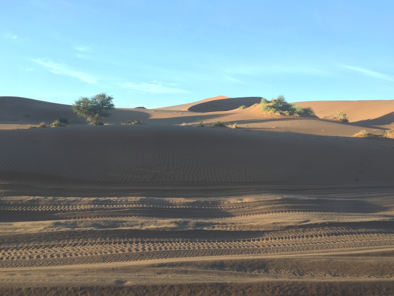 [15463] 2016_06_25_07_15_15_Africa_iPhone_6_IMG_8163_03075.jpg