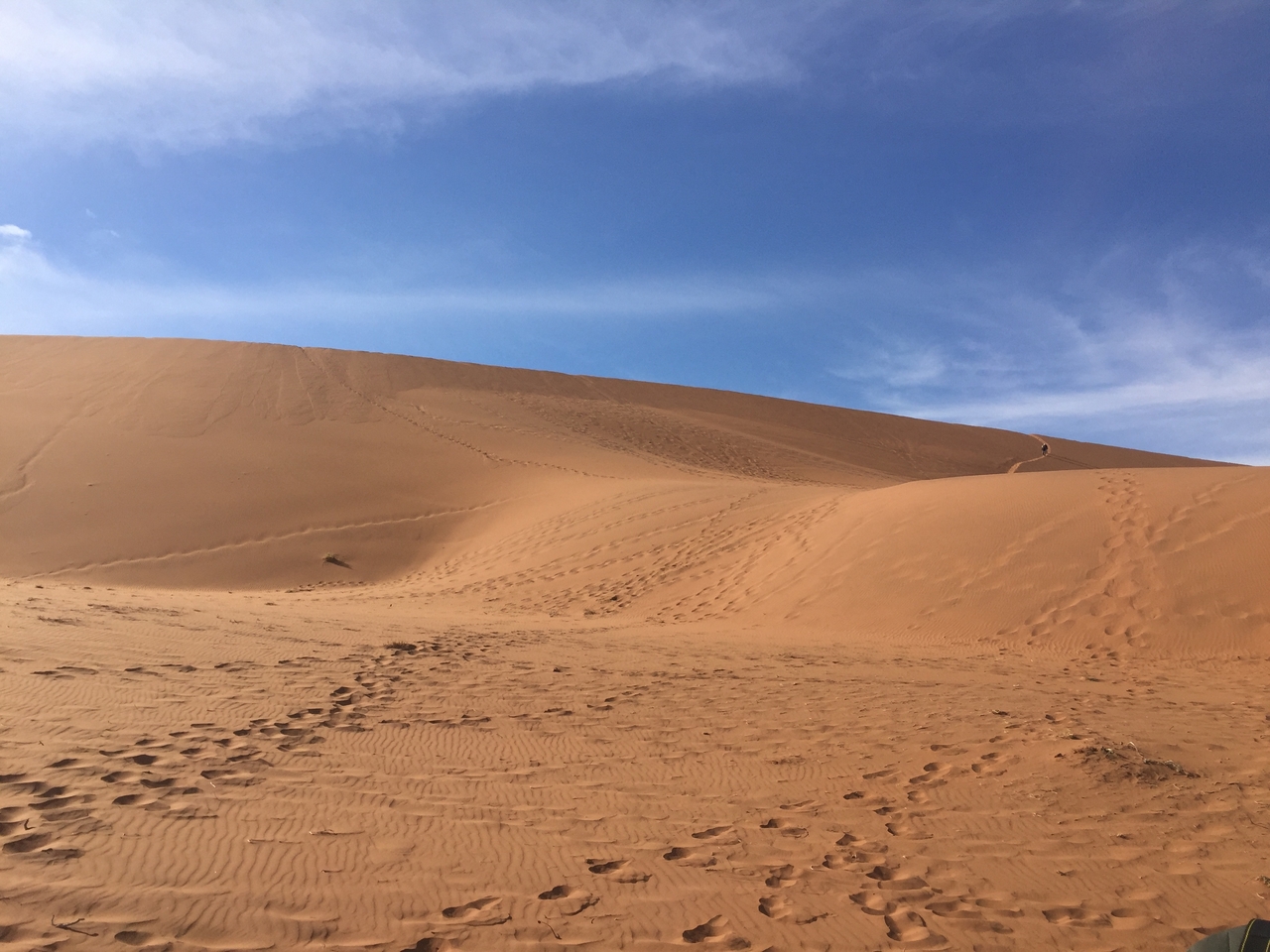 [15977] 2016_06_25_09_41_18_Africa_iPhone_6_IMG_8253_00227.jpg
