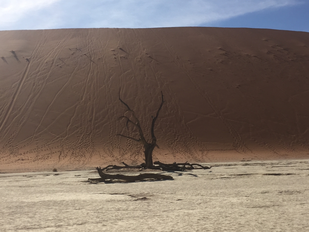 [16028] 2016_06_25_09_52_26_Africa_iPhone_6_IMG_8260_00816.jpg