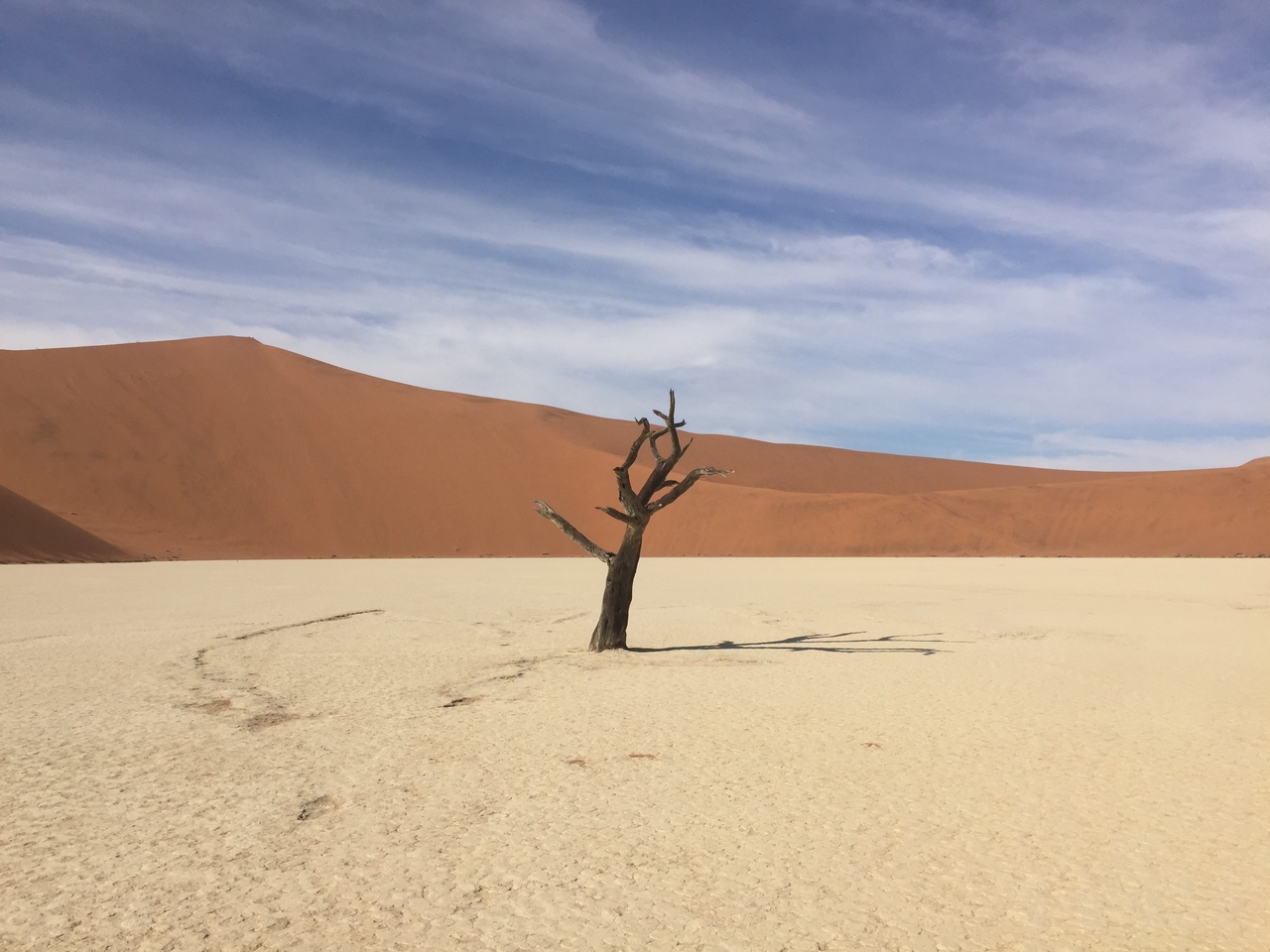 [16103] 2016_06_25_09_58_30_Africa_iPhone_6_IMG_8269_00243.jpg