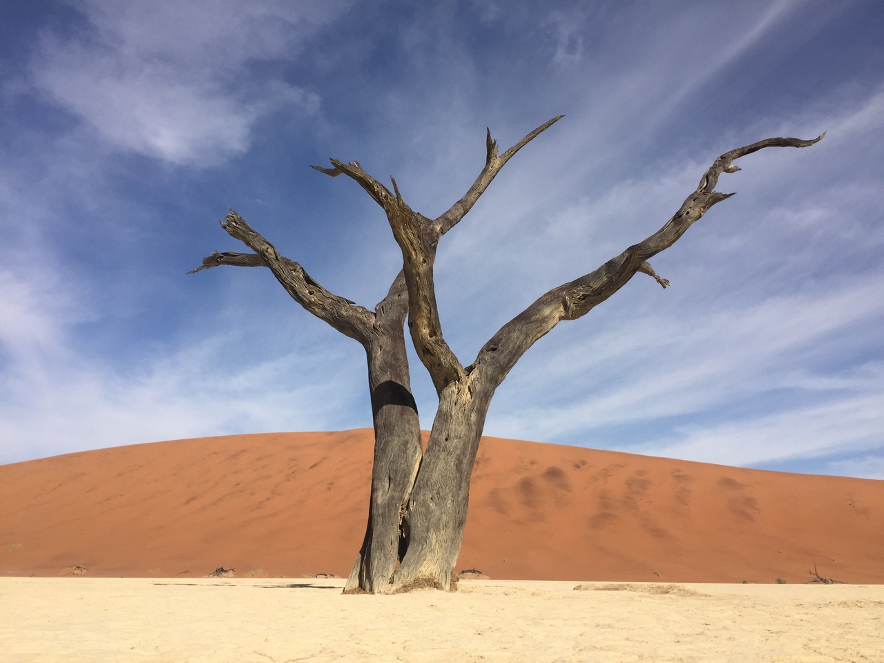 [16185] 2016_06_25_10_04_46_Africa_iPhone_6_IMG_8289_00845.jpg