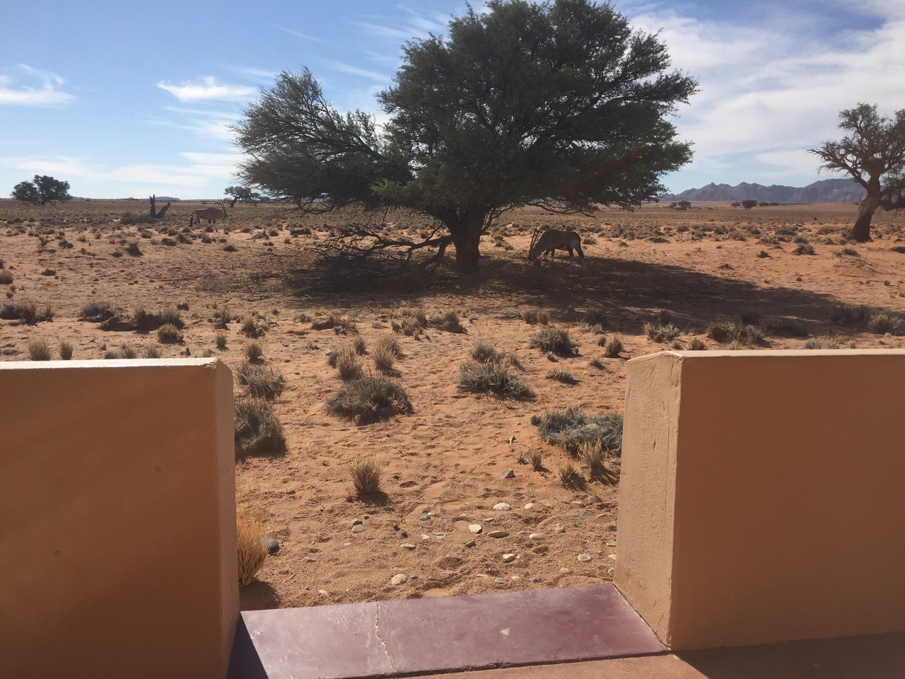 [16319] 2016_06_25_13_38_56_Africa_iPhone_6_IMG_8335_00303.jpg