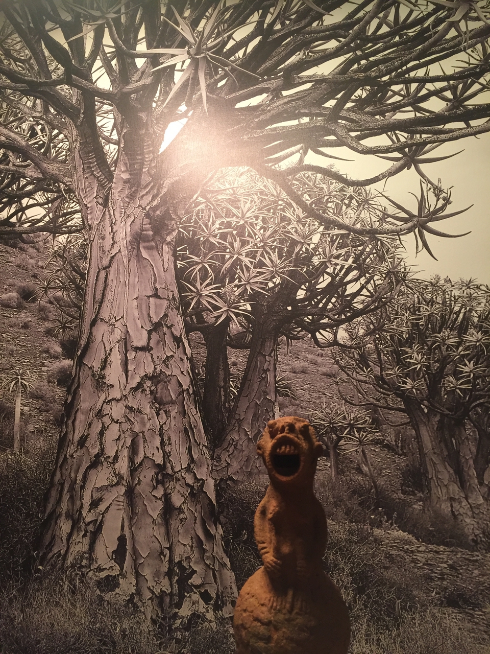 [16668] 2016_06_26_17_47_40_Africa_iPhone_6_IMG_8390_00932.jpg