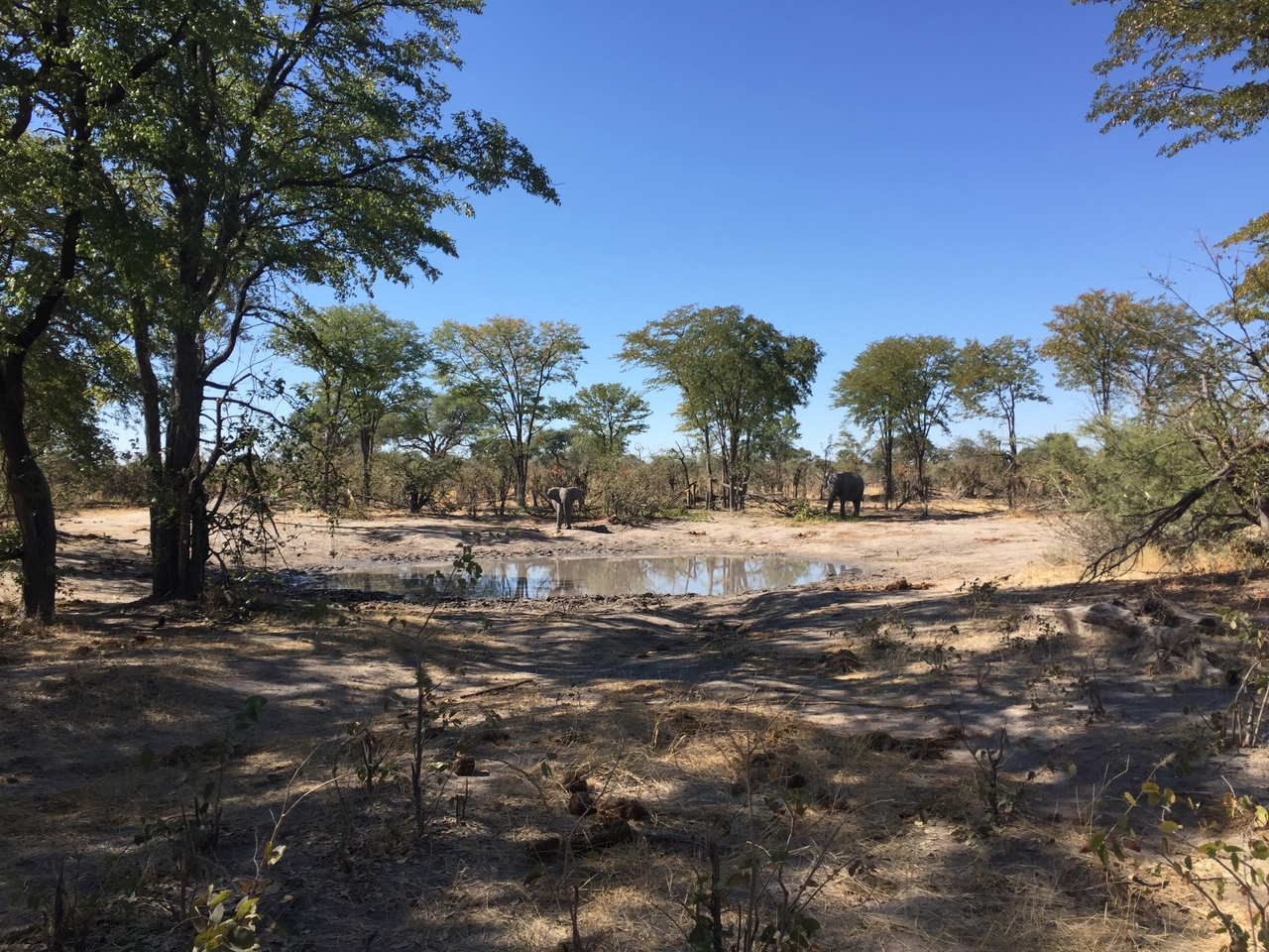 [17205] 2016_06_27_13_51_17_Africa_iPhone_6_IMG_8423_00381.jpg