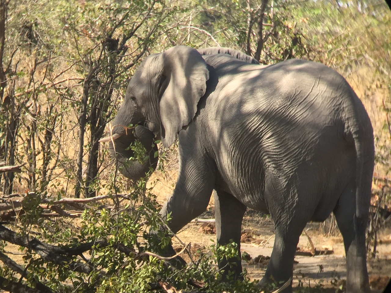 [17212] 2016_06_27_13_52_43_Africa_iPhone_6_IMG_8425_00965.jpg
