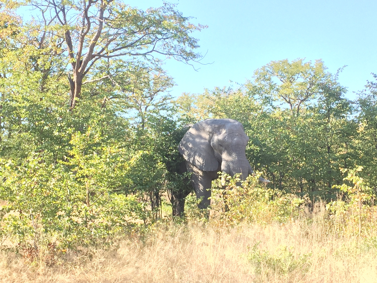 [17280] 2016_06_27_15_19_00_Africa_iPhone_6_IMG_8448_00406.jpg