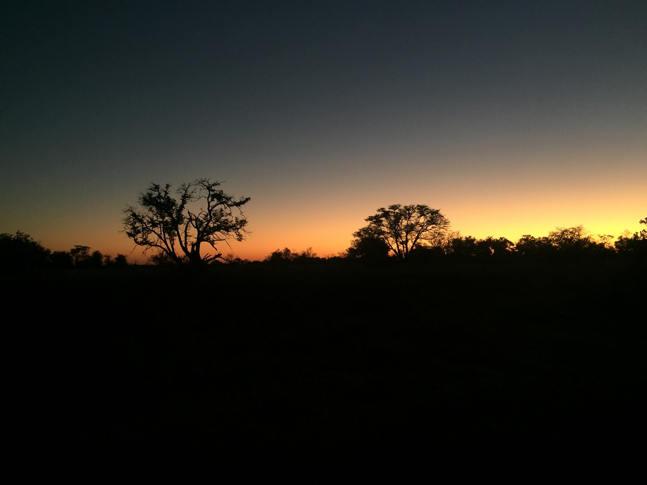 [17336] 2016_06_27_18_23_23_Africa_iPhone_6_IMG_8458_03339.jpg