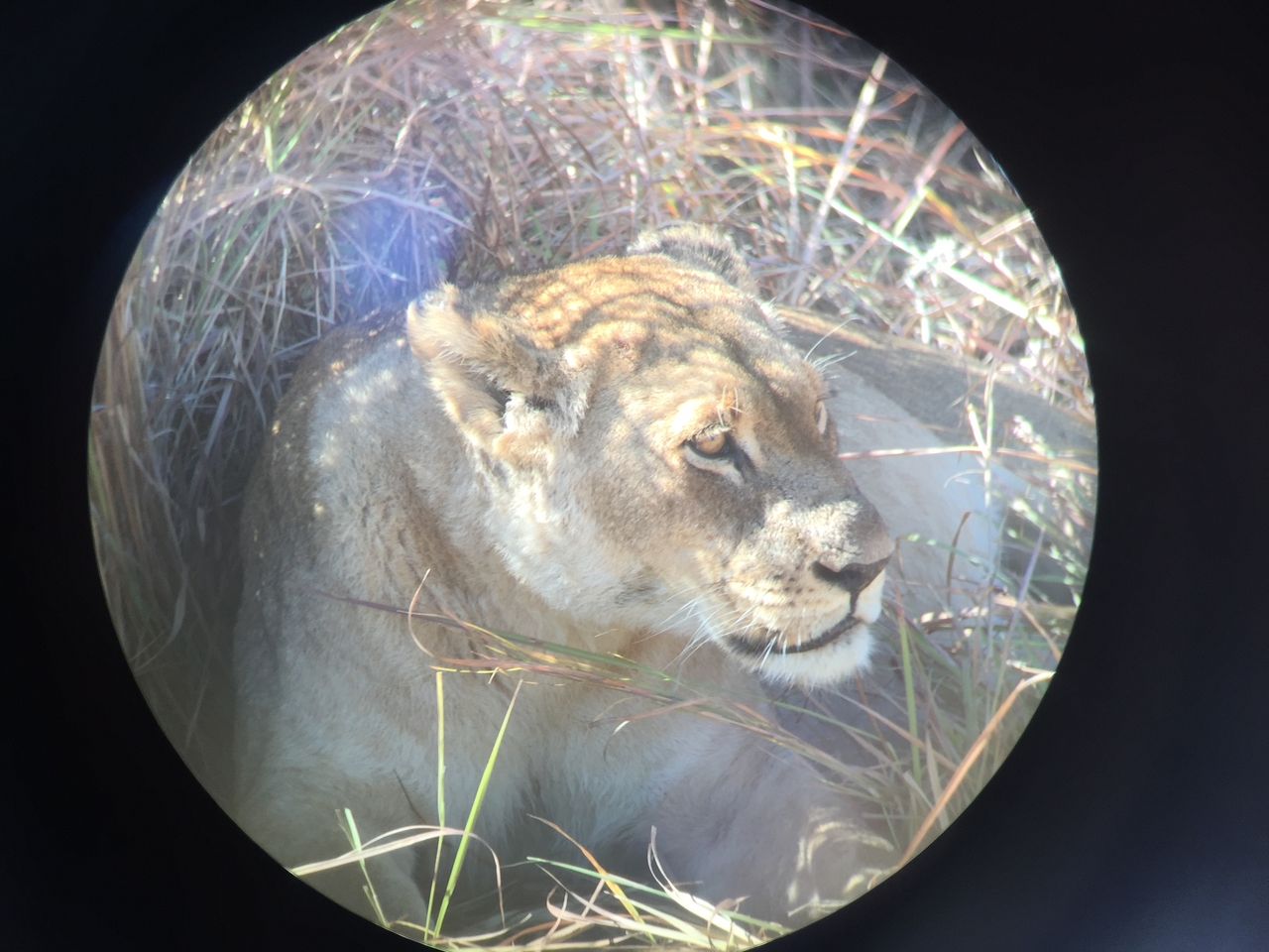 [19922] 2016_06_28_10_03_44_Africa_iPhone_6_IMG_8490_03371.jpg