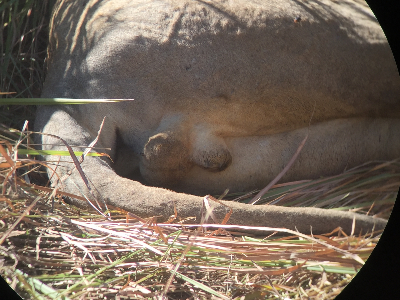 [19955] 2016_06_28_10_16_51_Africa_iPhone_6_IMG_8501_03382.jpg