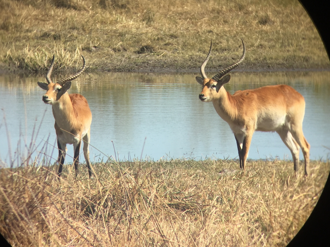 [20086] 2016_06_28_11_32_58_Africa_iPhone_6_IMG_8526_01058.jpg
