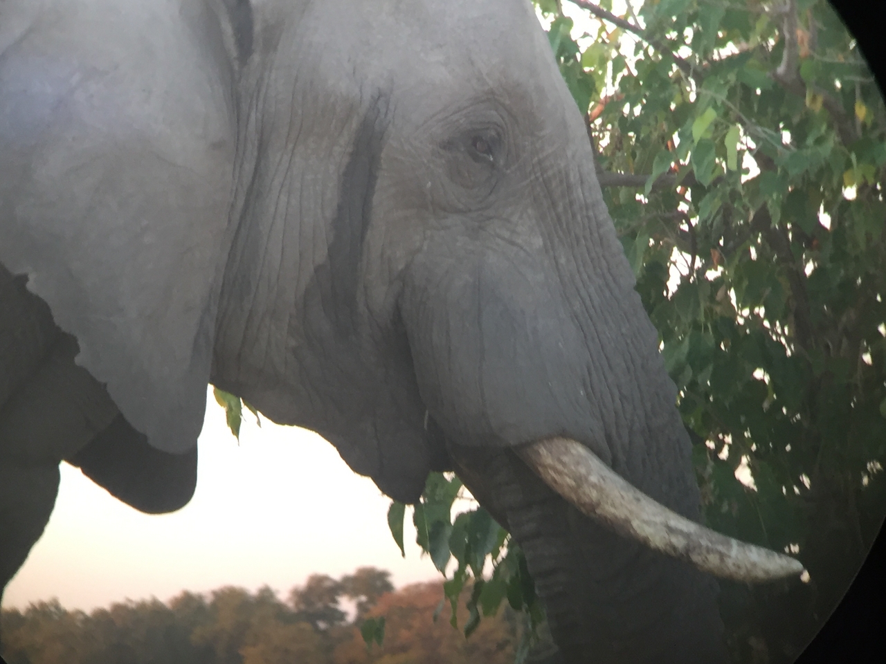 [20434] 2016_06_28_17_52_15_Africa_iPhone_6_IMG_8542_03414.jpg