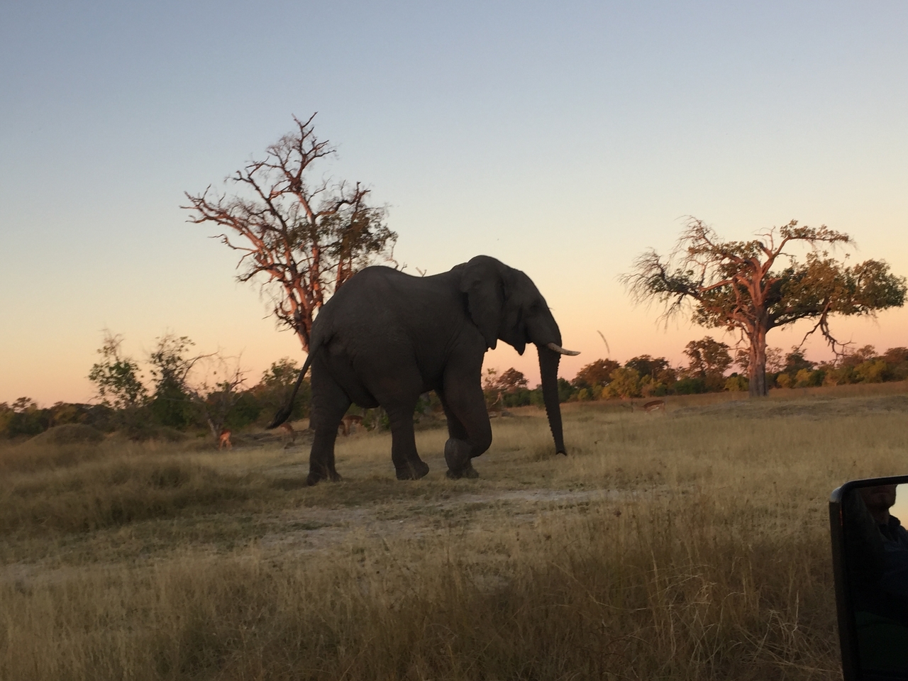 [20437] 2016_06_28_17_52_54_Africa_iPhone_6_IMG_8543_03415.jpg