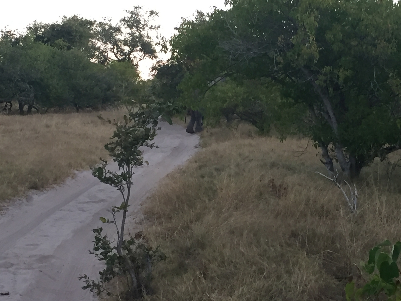 [20448] 2016_06_28_18_00_49_Africa_iPhone_6_IMG_8546_03418.jpg