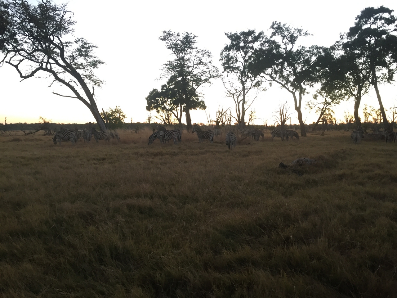 [21282] 2016_06_29_06_48_30_Africa_iPhone_6_IMG_8550_00499.jpg