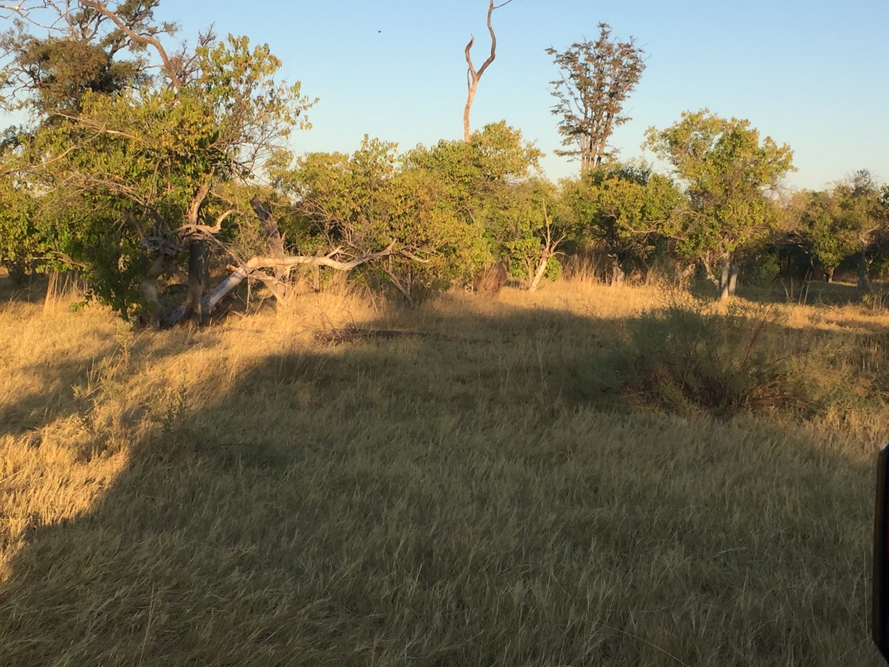 [21308] 2016_06_29_07_30_50_Africa_iPhone_6_IMG_8552_03424.jpg