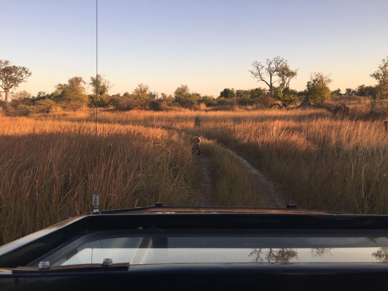 [22214] 2016_06_29_17_41_05_Africa_iPhone_6_IMG_8560_03429.jpg