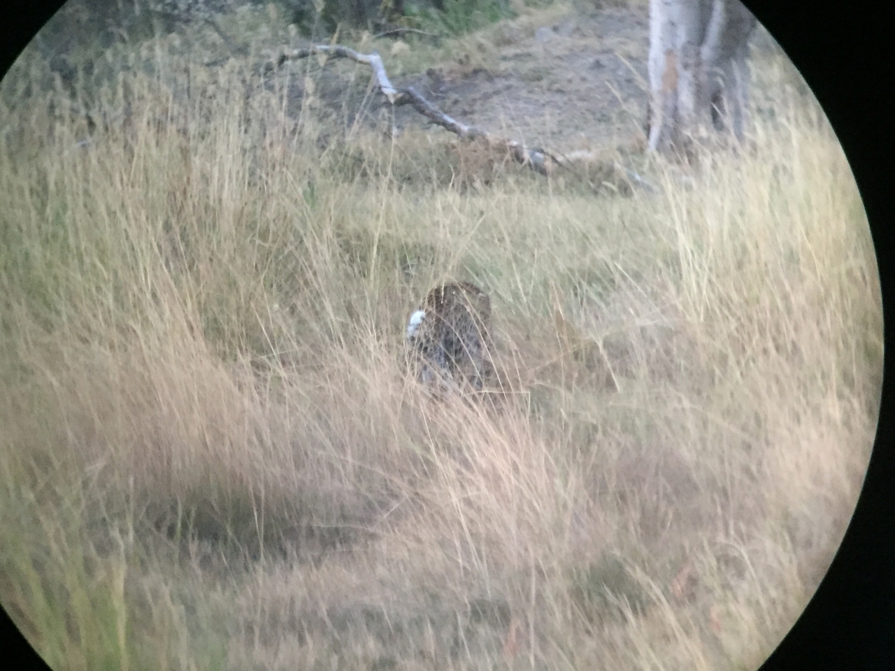 [22242] 2016_06_29_18_09_10_Africa_iPhone_6_IMG_8568_00514.jpg