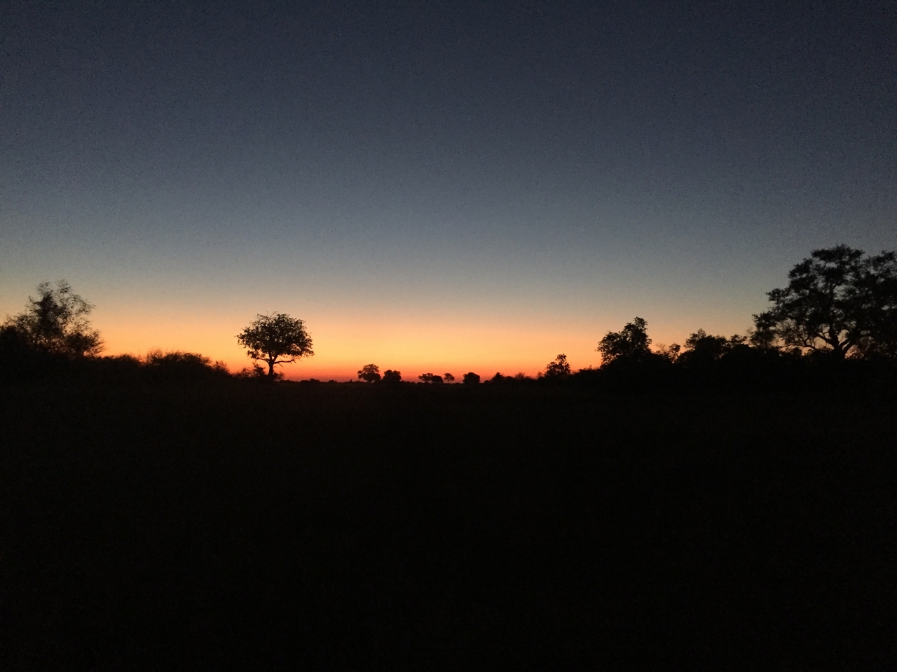 [22260] 2016_06_29_18_28_24_Africa_iPhone_6_IMG_8575_00520.jpg