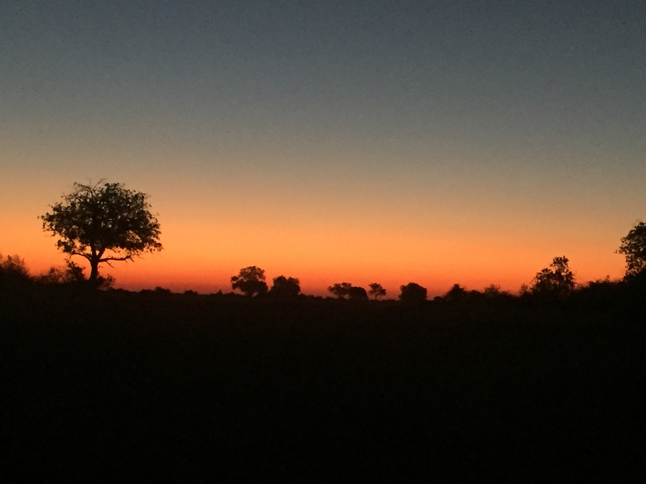 [22264] 2016_06_29_18_28_36_Africa_iPhone_6_IMG_8576_01103.jpg