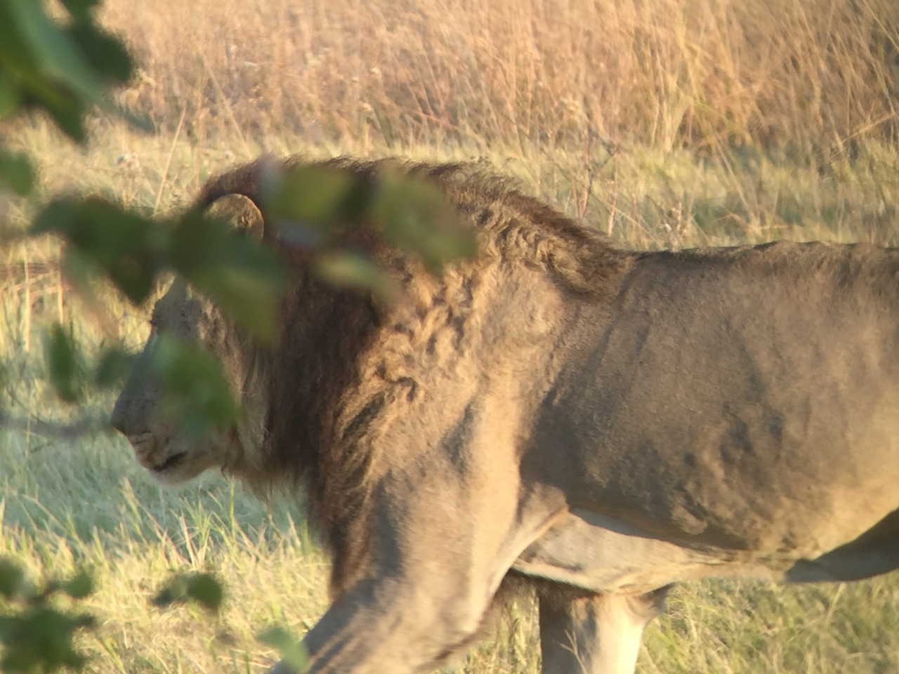 [24639] 2016_06_30_07_37_54_Africa_iPhone_6_IMG_8580_00525.jpg