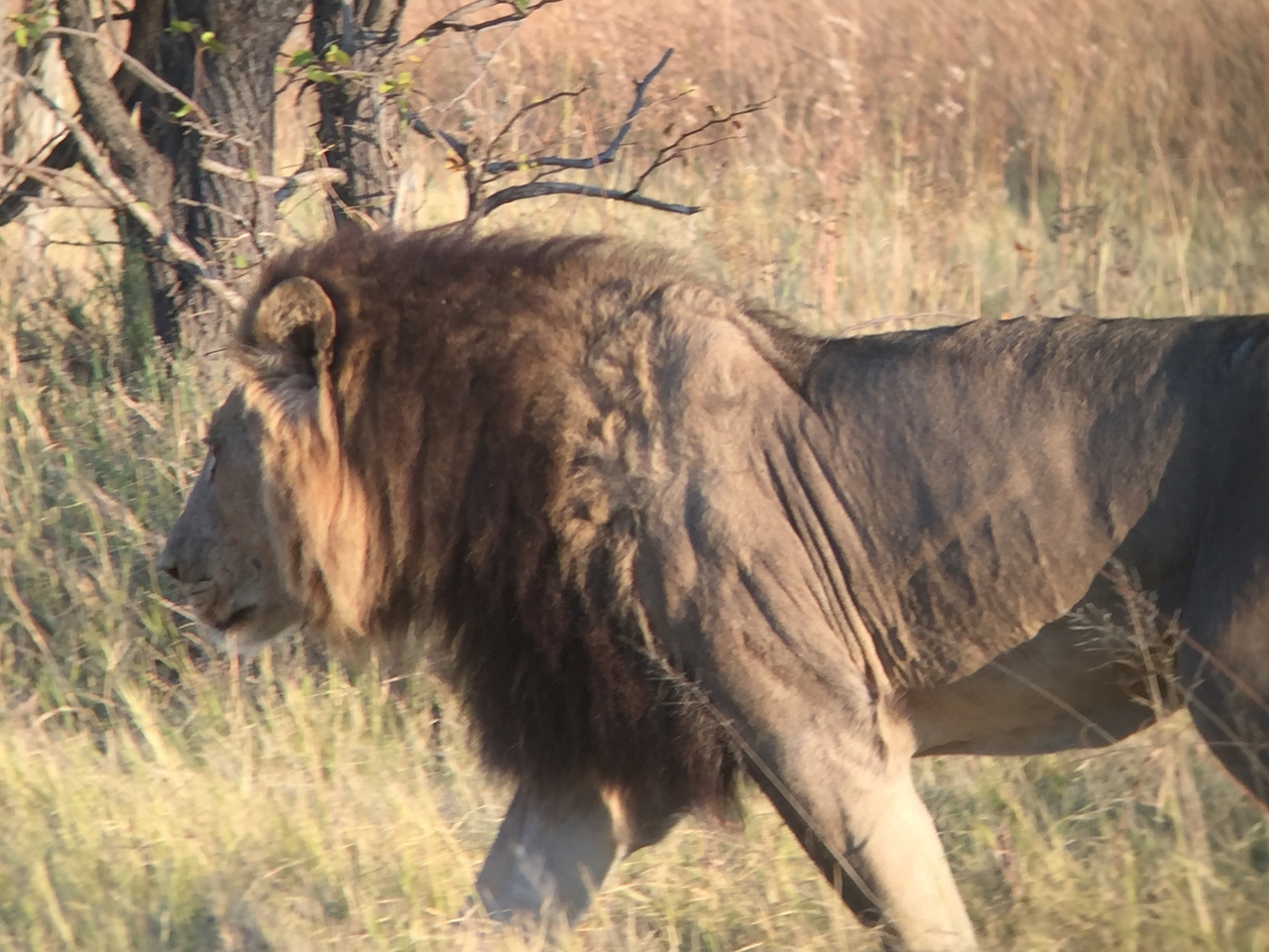 [24644] 2016_06_30_07_37_59_Africa_iPhone_6_IMG_8581_03449.jpg
