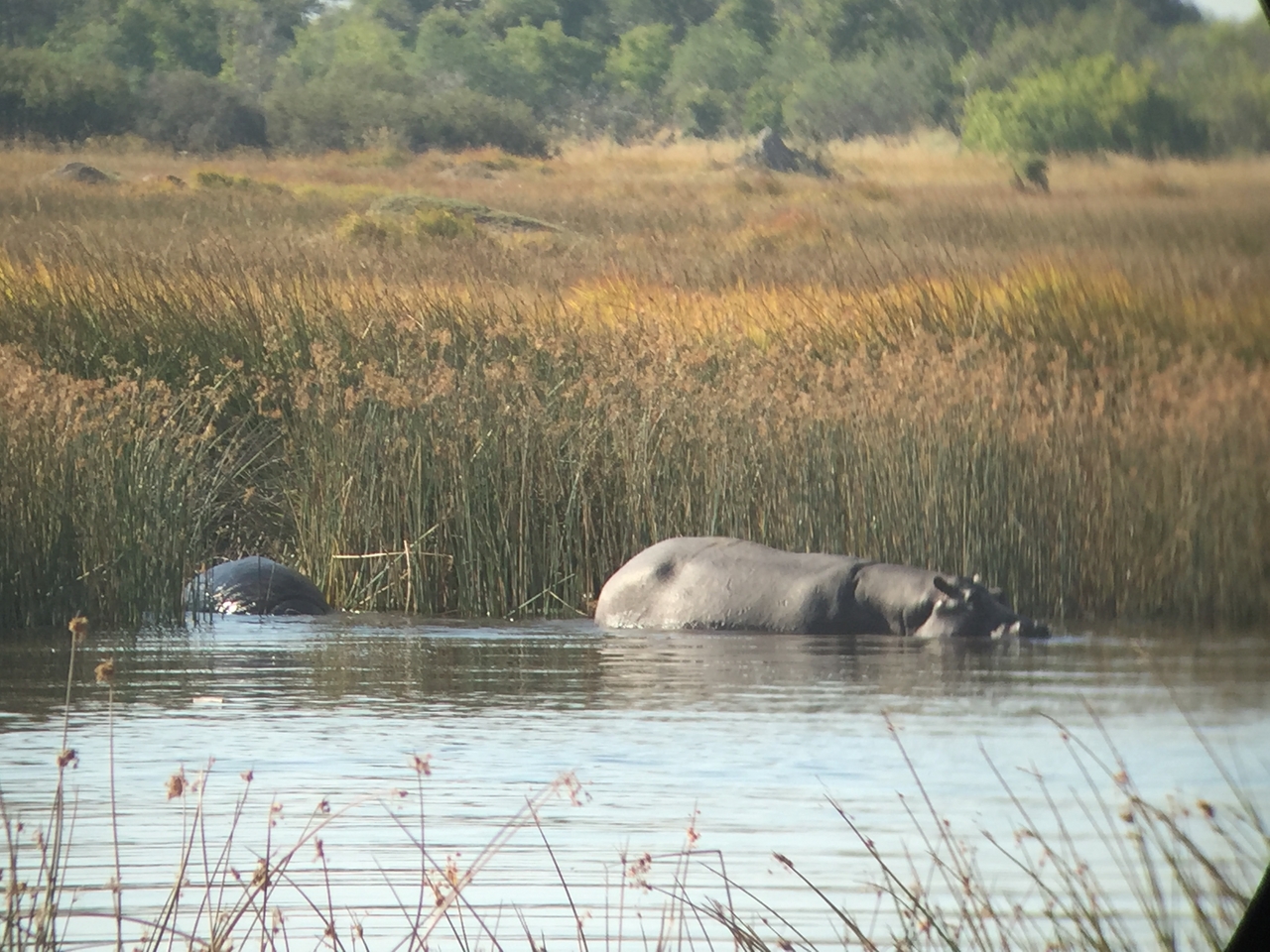 [25800] 2016_06_30_15_18_31_Africa_iPhone_6_IMG_8595_03460.jpg