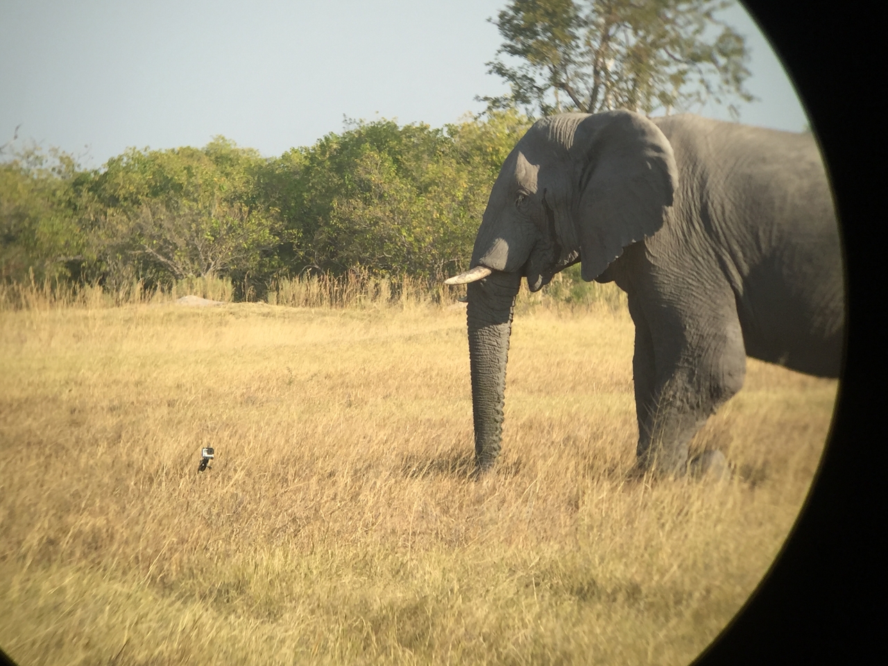 [26359] 2016_06_30_16_09_49_Africa_iPhone_6_IMG_8601_03465.jpg