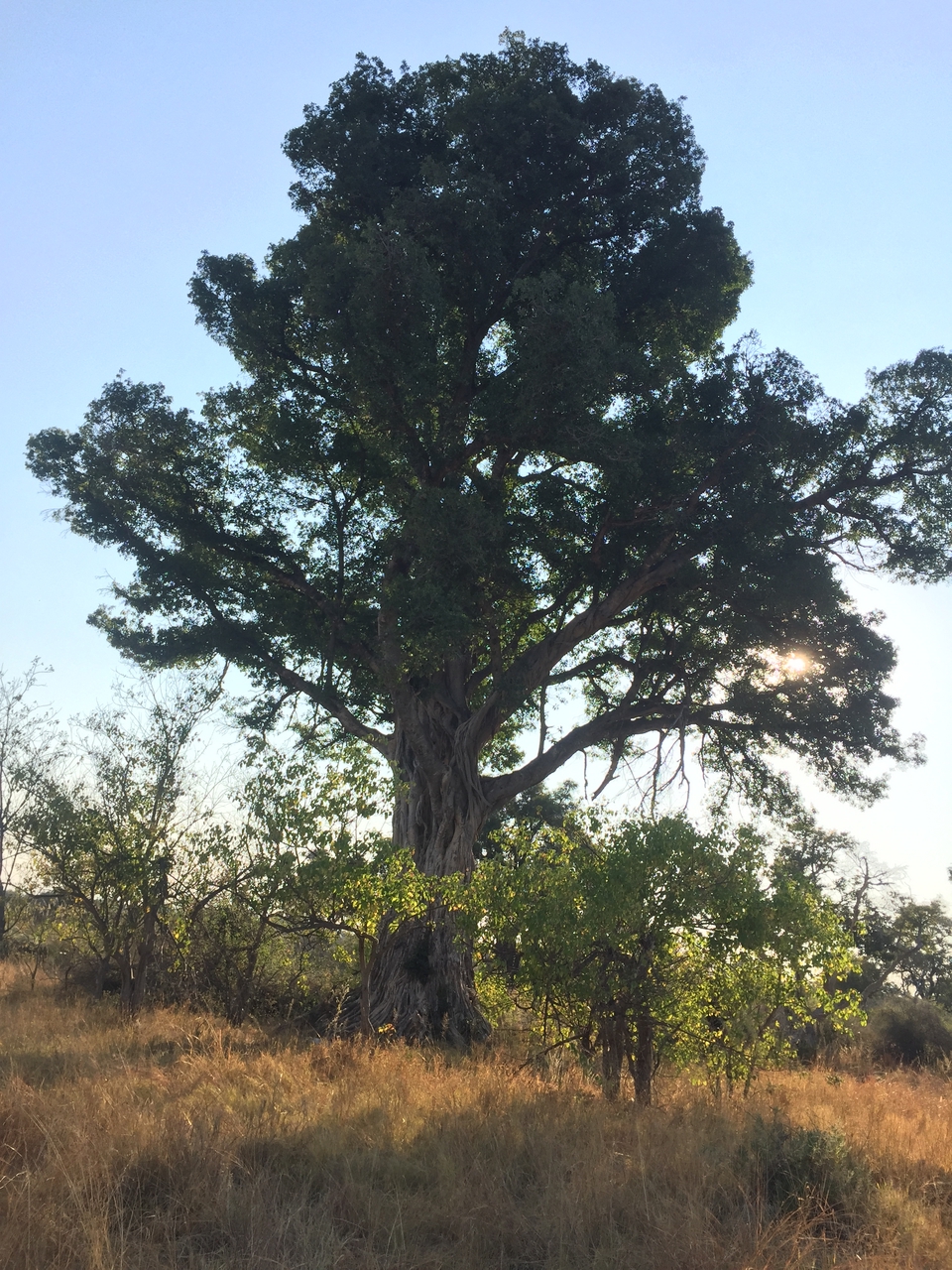[26909] 2016_07_01_08_25_31_Africa_iPhone_6_IMG_8629_01148.jpg