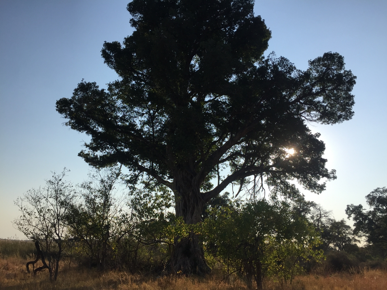 [26911] 2016_07_01_08_25_36_Africa_iPhone_6_IMG_8630_00567.jpg