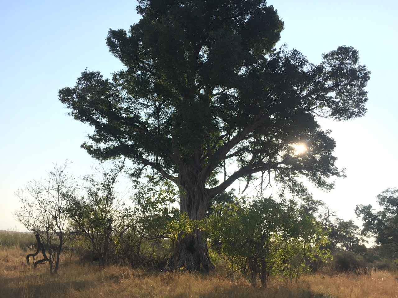 [26916] 2016_07_01_08_25_43_Africa_iPhone_6_IMG_8631_03491.jpg