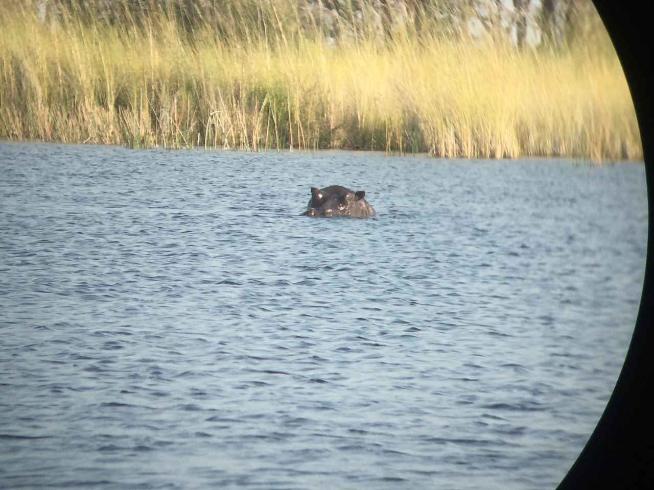 [26939] 2016_07_01_10_02_49_Africa_iPhone_6_IMG_8634_01152.jpg