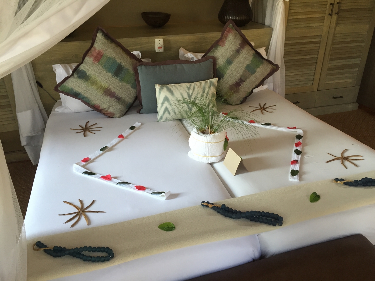 [27040] 2016_07_01_13_57_21_Africa_iPhone_6_IMG_8646_00581.jpg
