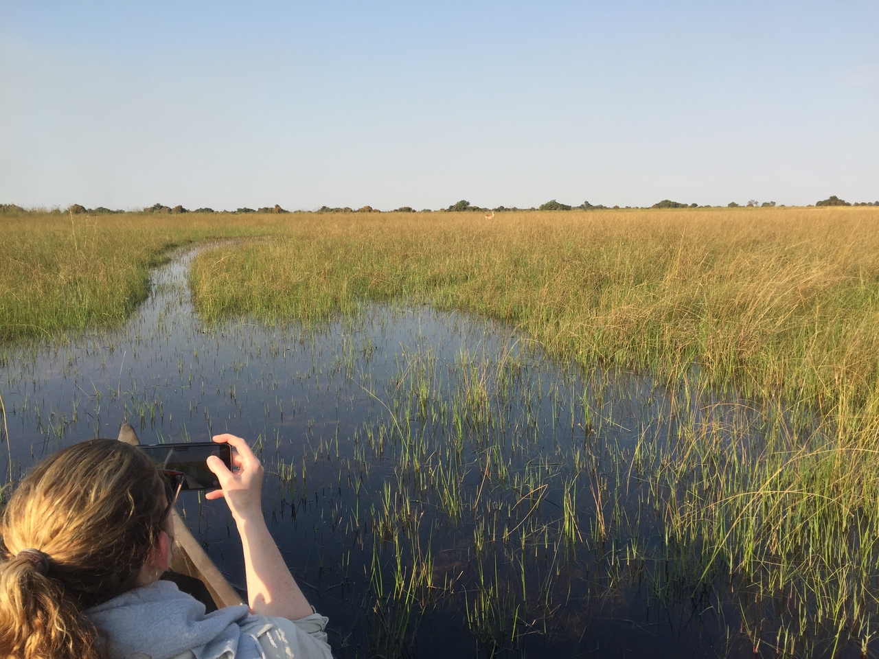 [27235] 2016_07_01_16_08_30_Africa_iPhone_6_IMG_8663_03521.jpg