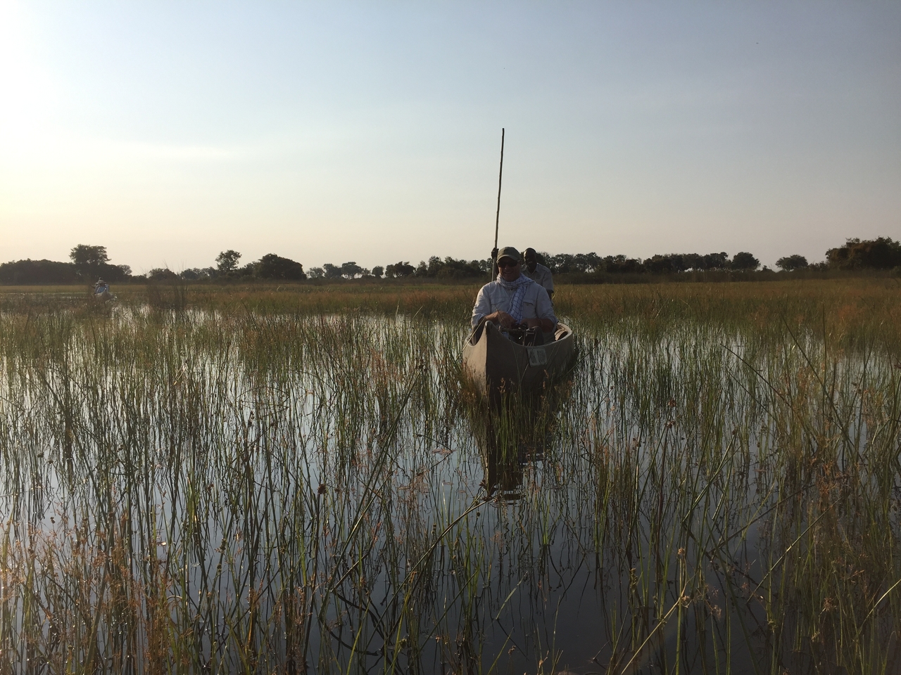 [27246] 2016_07_01_16_24_09_Africa_iPhone_6_IMG_8664_01181.jpg