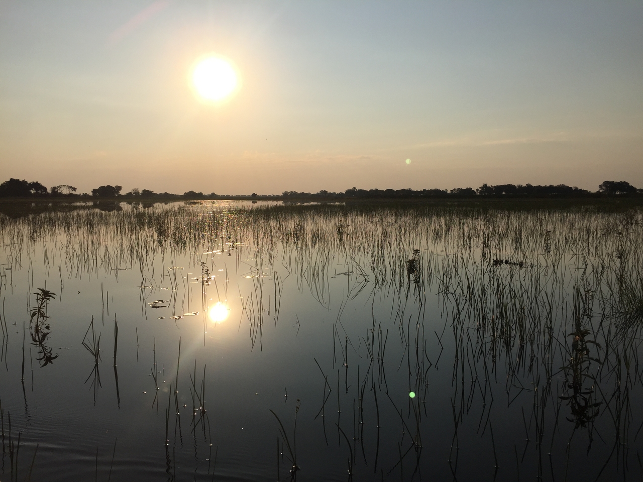 [27369] 2016_07_01_17_02_21_Africa_iPhone_6_IMG_8696_01210.jpg