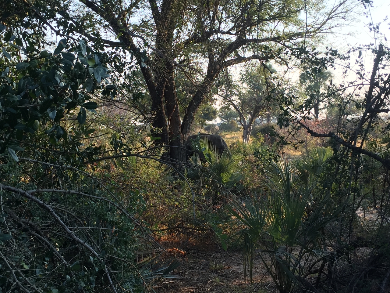 [27881] 2016_07_02_08_05_19_Africa_iPhone_6_IMG_8716_03564.jpg