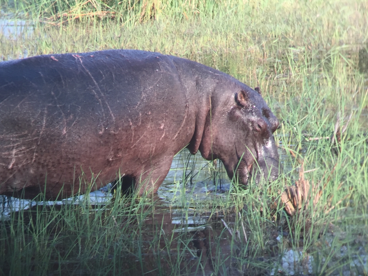 [27944] 2016_07_02_08_42_23_Africa_iPhone_6_IMG_8726_03573.jpg