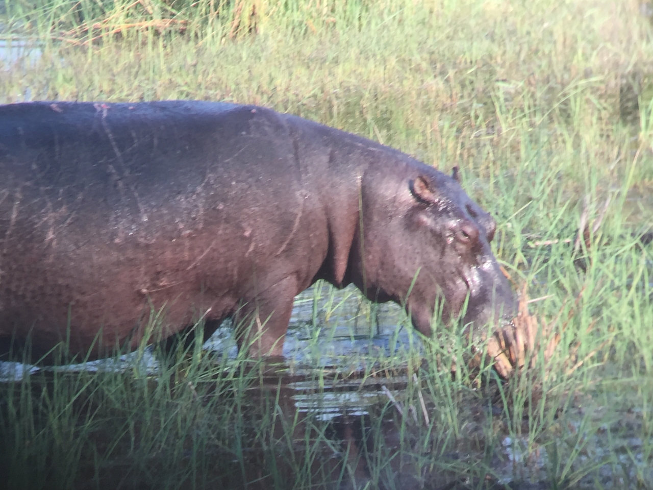 [27947] 2016_07_02_08_42_29_Africa_iPhone_6_IMG_8727_03574.jpg