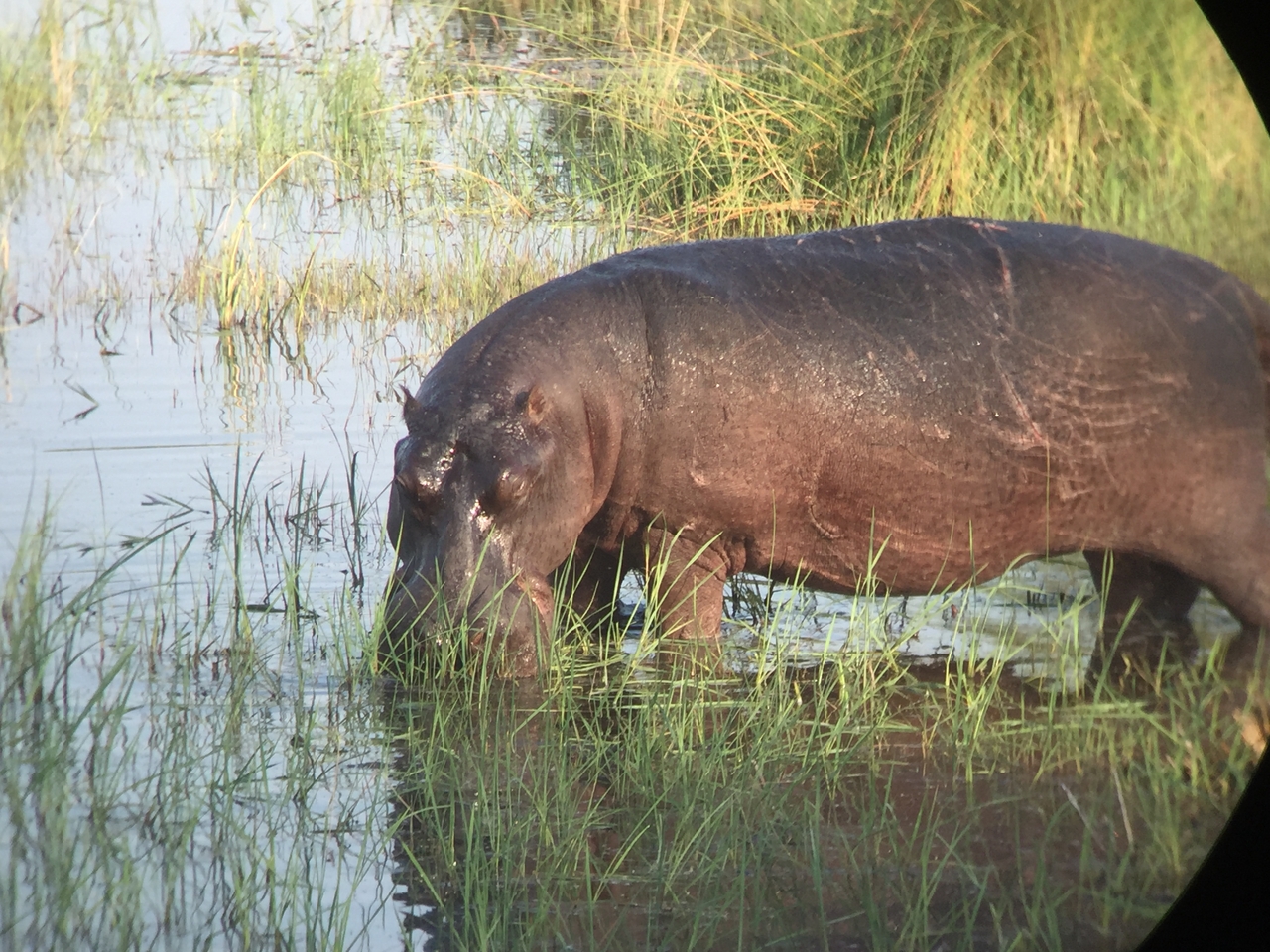 [27965] 2016_07_02_08_44_54_Africa_iPhone_6_IMG_8733_03580.jpg
