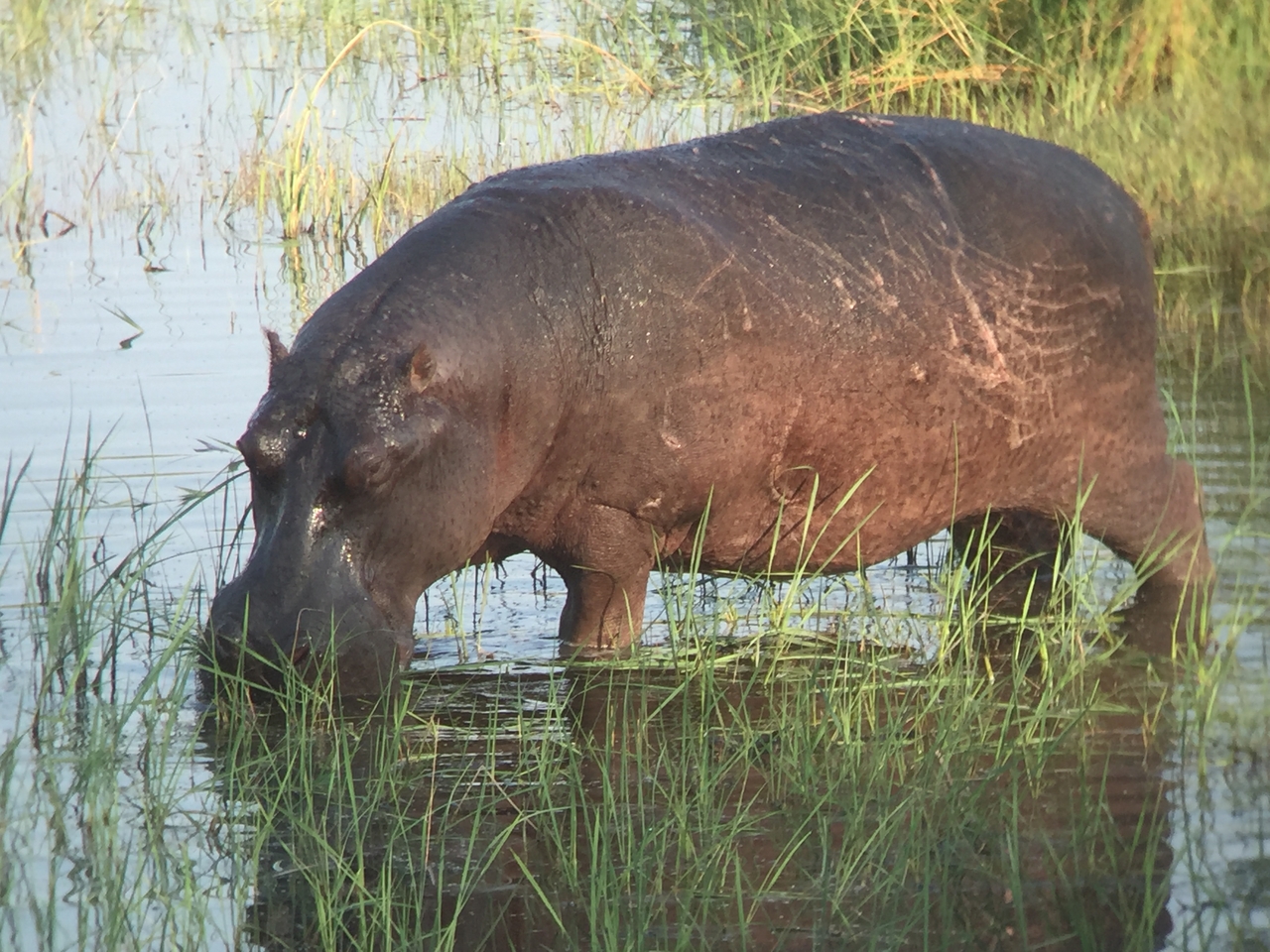 [27984] 2016_07_02_08_45_14_Africa_iPhone_6_IMG_8740_00664.jpg