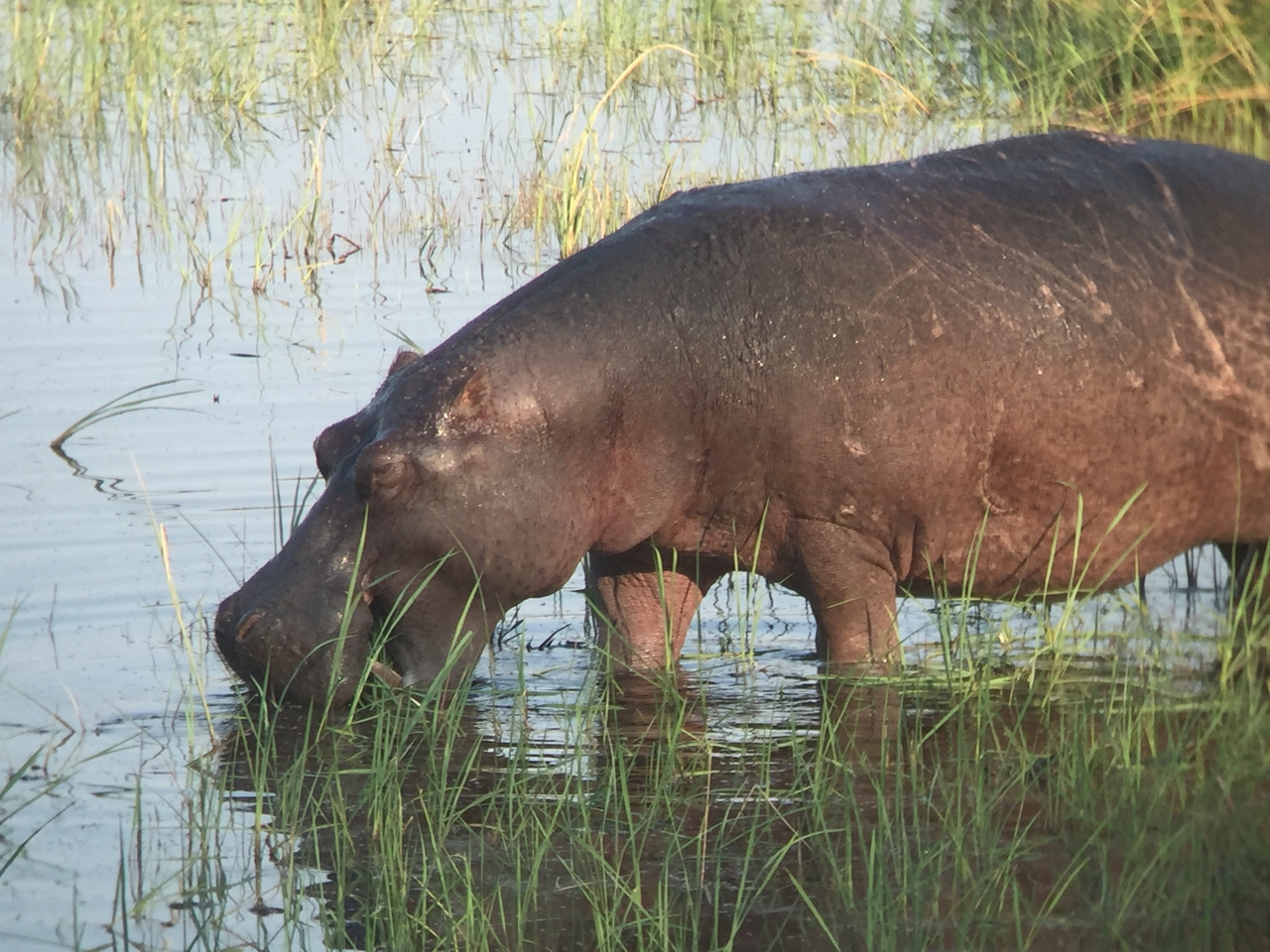 [27989] 2016_07_02_08_45_15_Africa_iPhone_6_IMG_8741_03588.jpg
