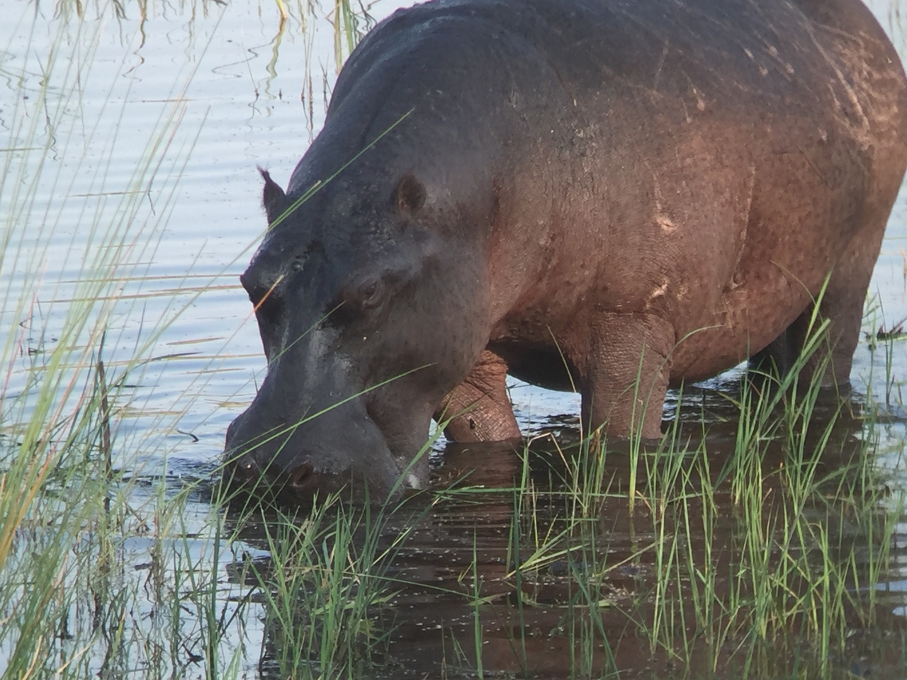 [28002] 2016_07_02_08_45_34_Africa_iPhone_6_IMG_8746_00670.jpg