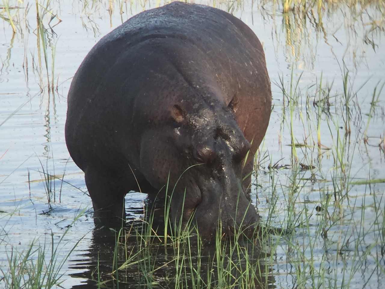 [28009] 2016_07_02_08_45_38_Africa_iPhone_6_IMG_8748_01254.jpg