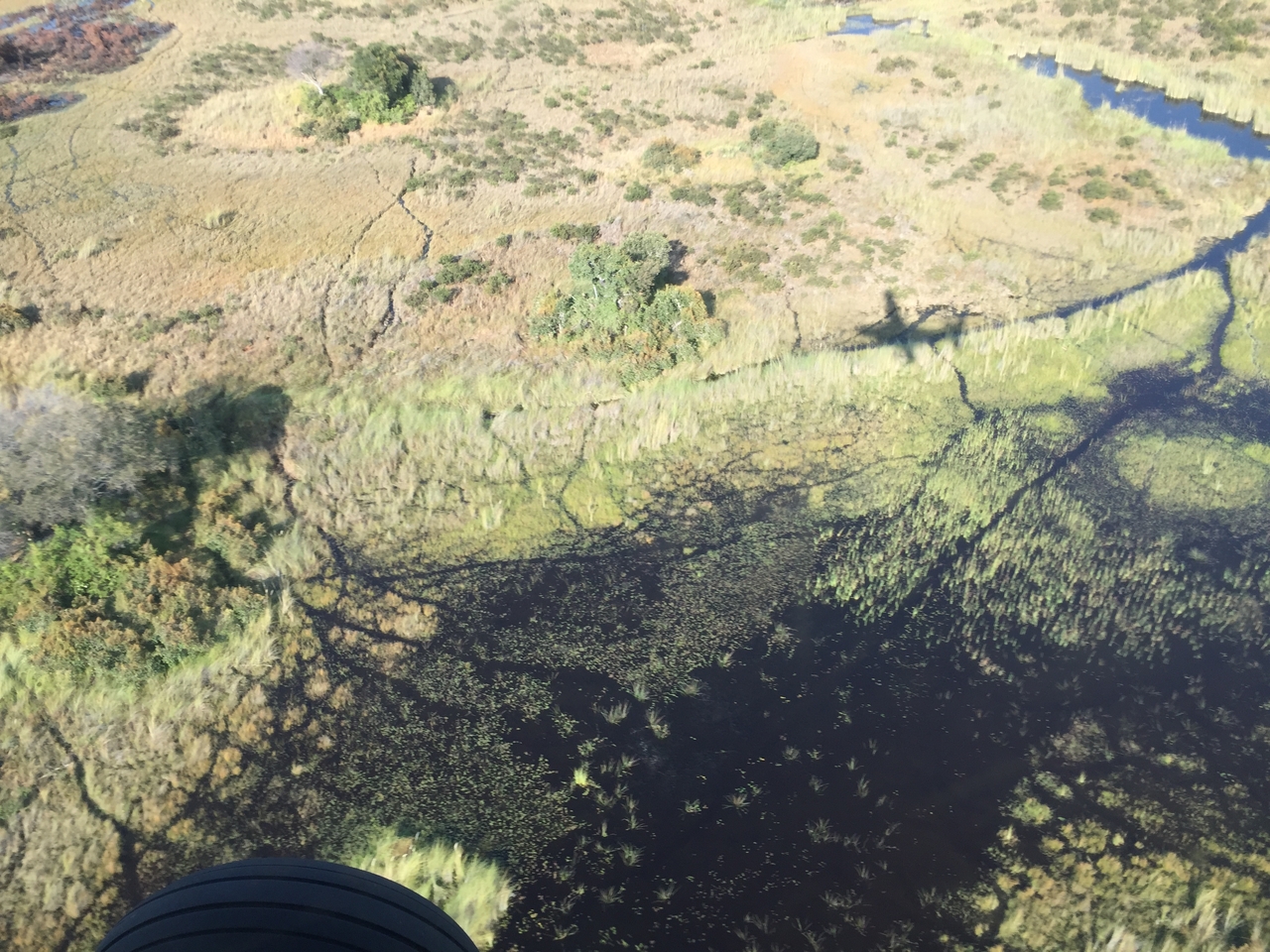 [28074] 2016_07_02_09_25_08_Africa_iPhone_6_IMG_8756_00680.jpg