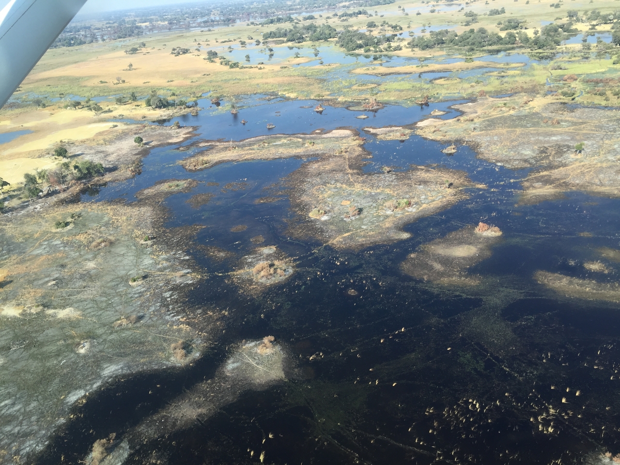 [28081] 2016_07_02_09_25_28_Africa_iPhone_6_IMG_8758_01264.jpg