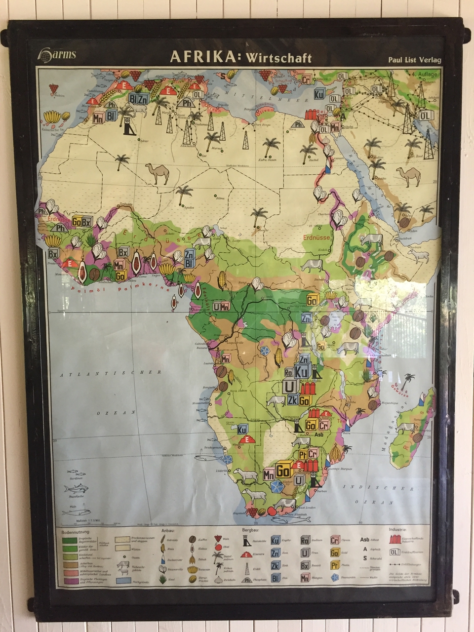 [28742] 2016_07_02_14_17_19_Africa_iPhone_6_IMG_8775_03618.jpg