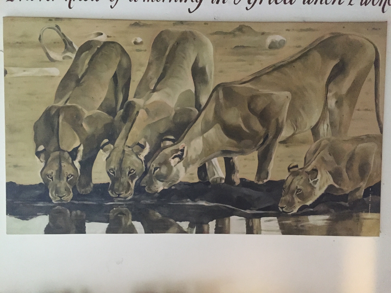 [31213] 2016_07_03_07_15_33_Africa_iPhone_6_IMG_8784_01283.jpg