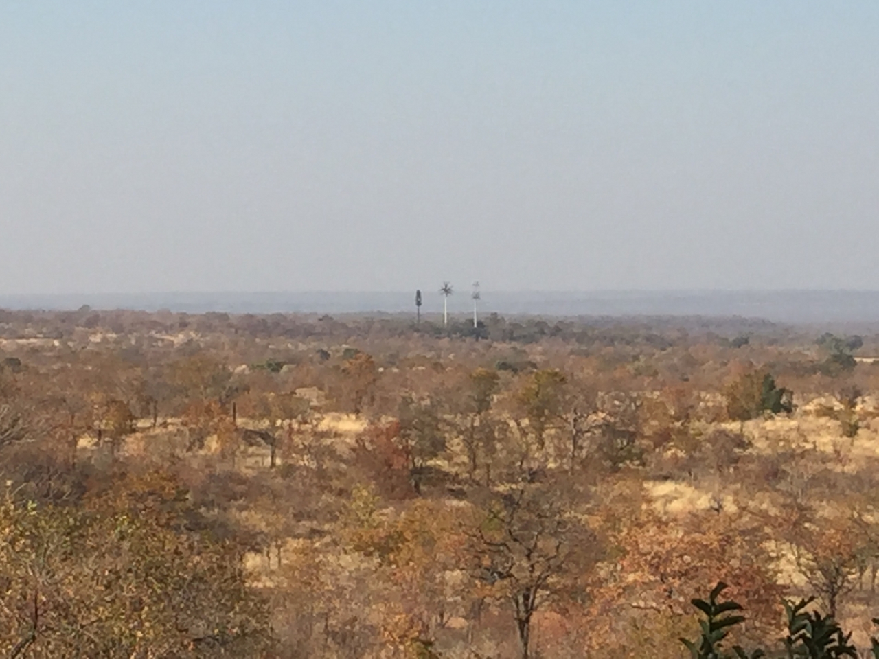 [31239] 2016_07_03_08_19_59_Africa_iPhone_6_IMG_8788_00704.jpg